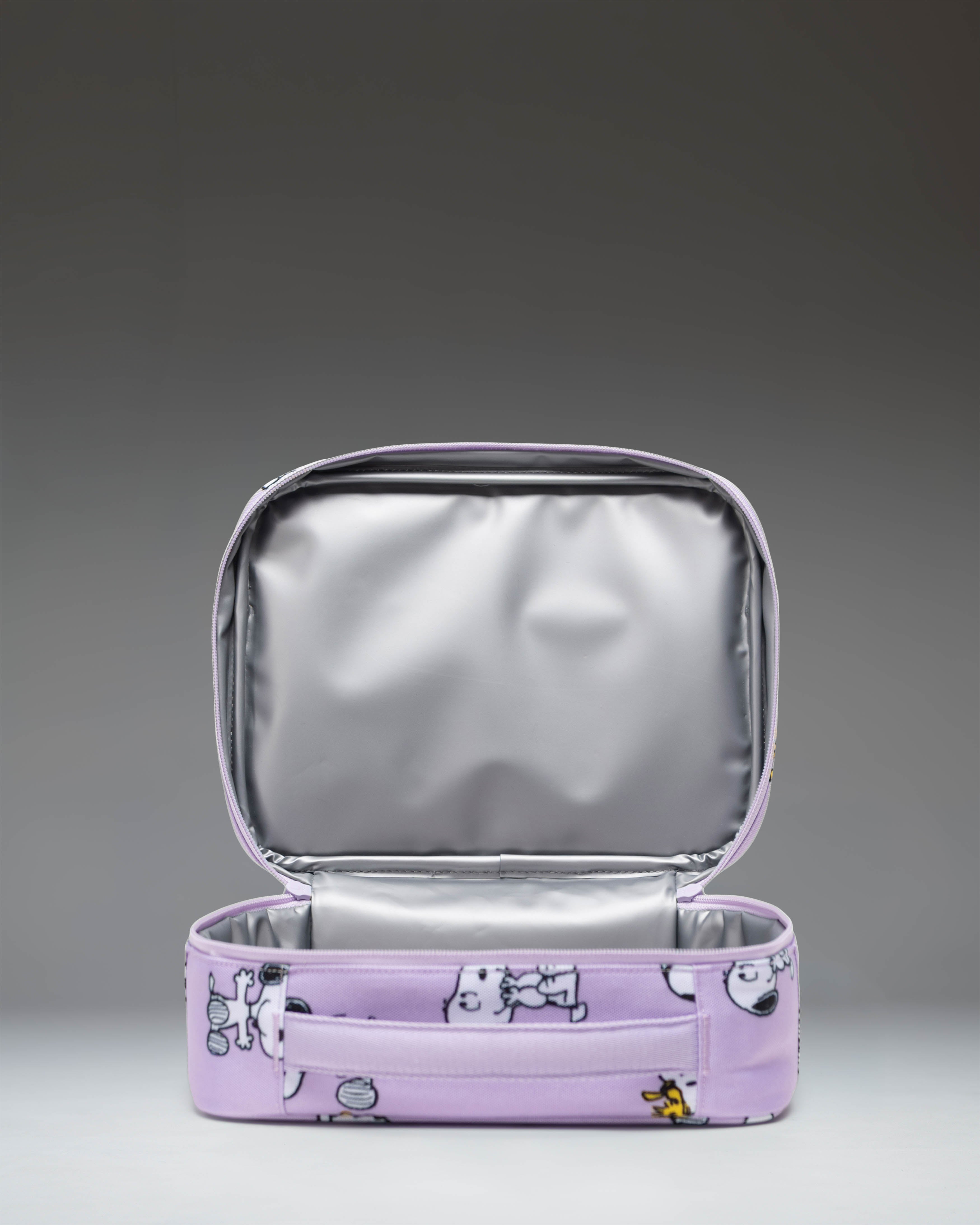Peanuts&Co. ケース Peanuts® Pop Quiz Lunch Box – Herschel Supply Co. USA