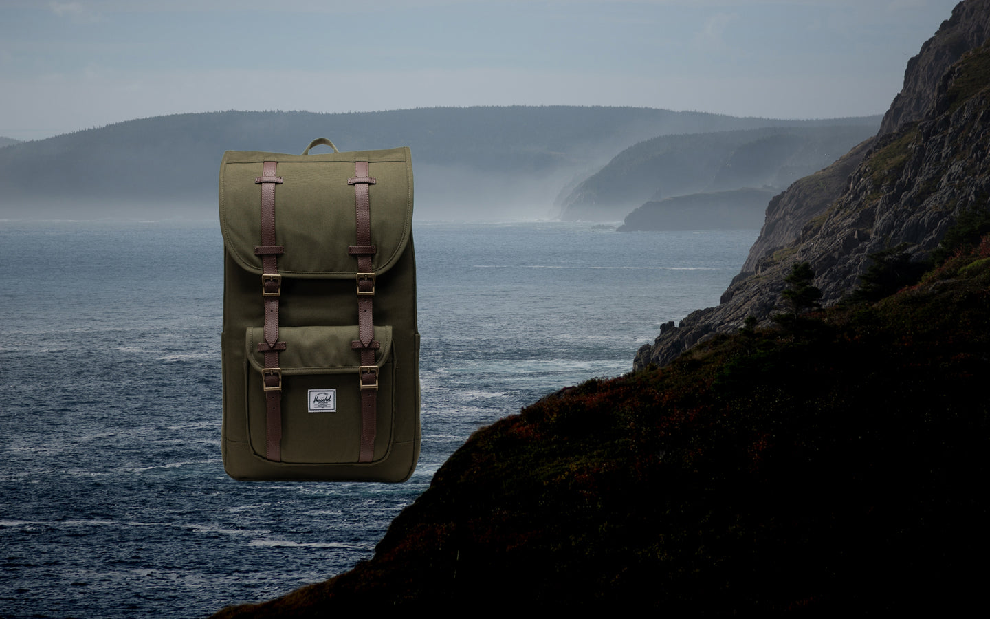 Herschel Little America Backpack in Ivy Green displayed on a desktop background banner.
