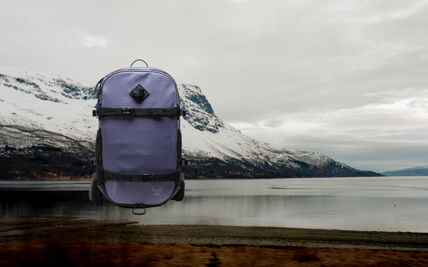 Herschel Supply Co. All Season Pro Backpack 36L in Heron/Black shown on a desktop background display.