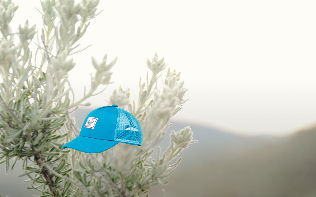 Herschel Supply Co. Whaler Cotton Mesh Toddler Cap (2-4 Years) in Hawaiian Surf blue.