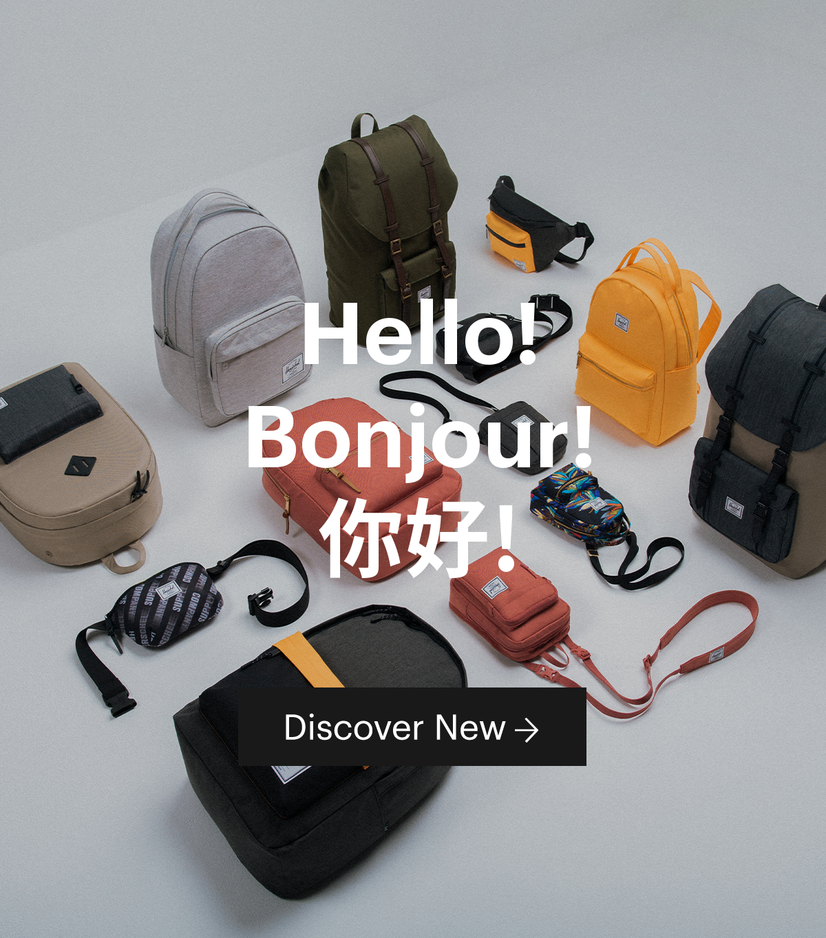 Hello! Bonjour! 你好! 