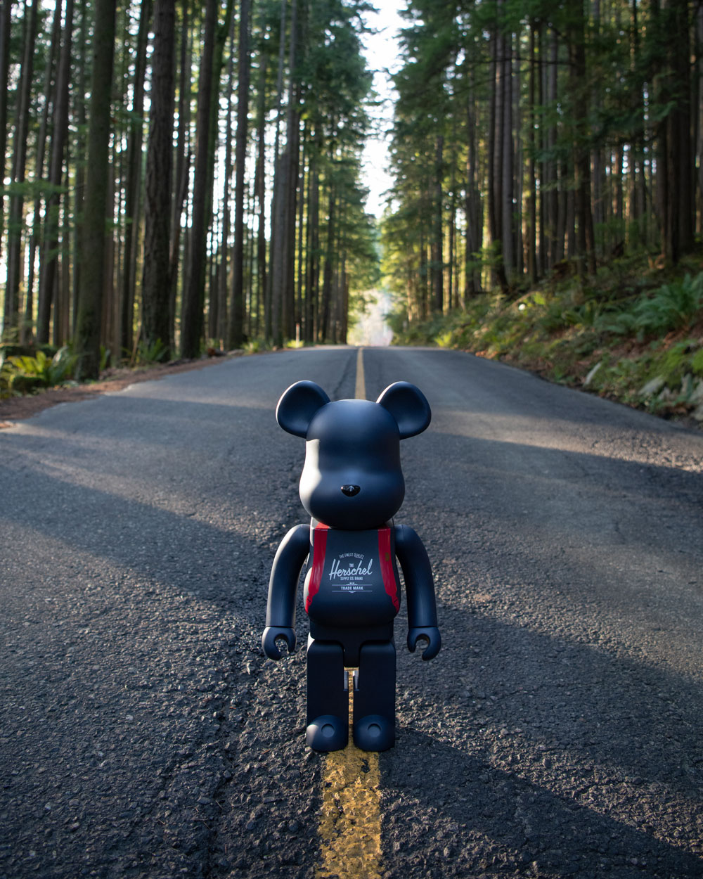 herschel supply bearbrick