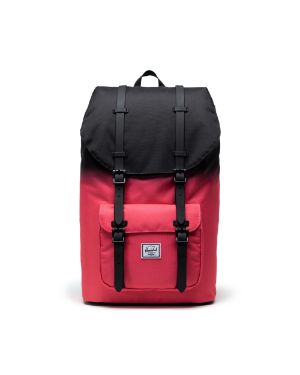 Calypso Coral Gradient