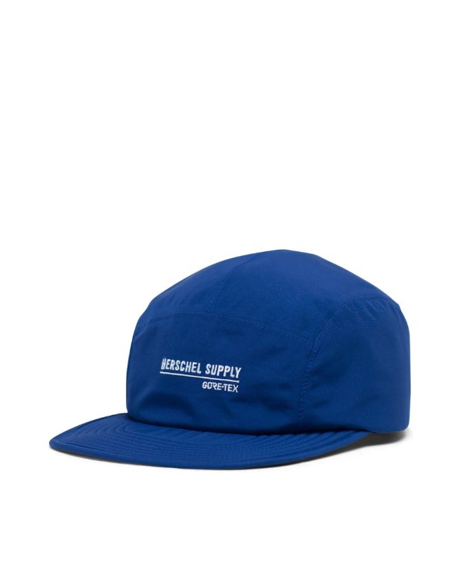 herschel gore tex hat