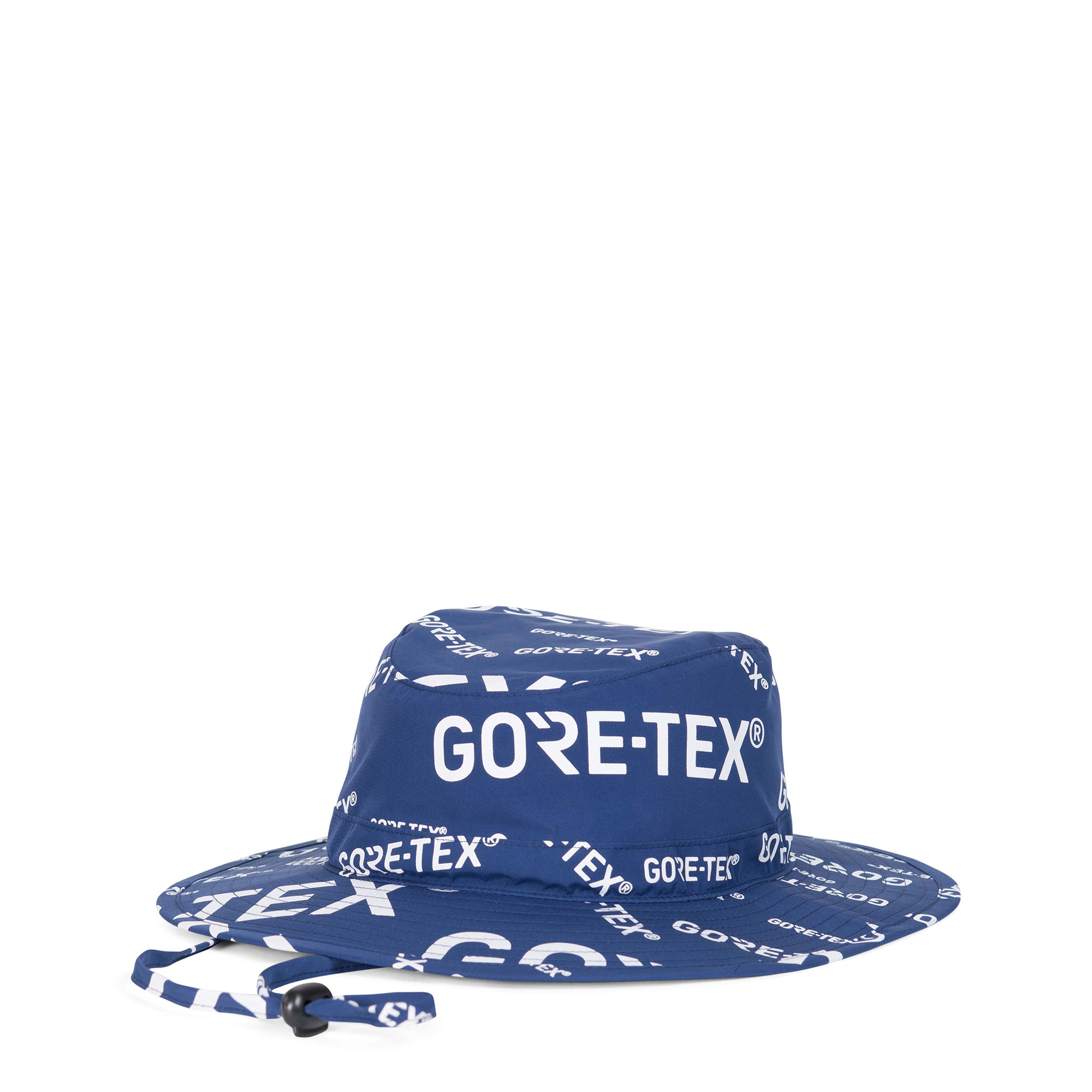 herschel gore tex hat