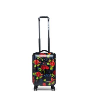 carry on luggage size 9x14x22