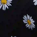 Daisy Print